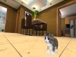 Android - Kitten Cat Simulator 3D Craft screenshot