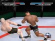 Dreamcast - Ultimate Fighting Championship screenshot