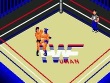 Genesis - Thunder Pro Wrestling Retsuden screenshot