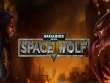 iPhone iPod - Warhammer 40,000: Space Wolf screenshot