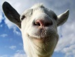 iPhone iPod - Goat Simulator screenshot