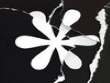 iPhone iPod - Song of Bloom screenshot