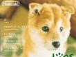Nintendo DS - Nintendogs: Shiba and Friends screenshot
