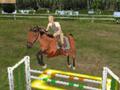 Nintendo DS - My Horse and Me screenshot