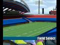 Nintendo DS - Backyard Football 2009 screenshot