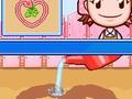 Nintendo DS - Gardening Mama screenshot