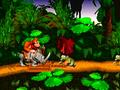 Nintendo Wii - Donkey Kong Country screenshot