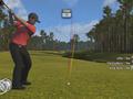 Nintendo Wii - Tiger Woods PGA Tour 09 screenshot