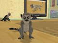 Nintendo Wii - Petz Crazy Monkeyz screenshot