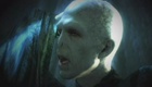 Nintendo Wii - Harry Potter and the Deathly Hallows: Part 2 screenshot