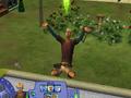 PC - Sims 2: Bon Voyage, The screenshot