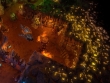PC - Dungeons 2 screenshot