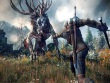 PC - Witcher 3: Wild Hunt, The screenshot