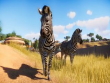 PC - Planet Zoo screenshot
