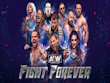 PC - AEW: Fight Forever screenshot