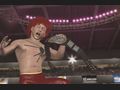 PlayStation 3 - WWE SmackDown! vs. RAW 2010 screenshot