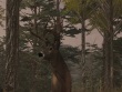 PlayStation 4 - Deer Simulator screenshot