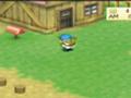 Sony PSP - Harvest Moon: Boy & Girl screenshot