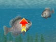 Vita - Reel Fishing: Master's Challenge screenshot
