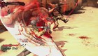 Wii U - Ninja Gaiden 3: Razor's Edge screenshot
