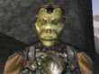 Xbox - Elder Scrolls: Morrowind Game Of The Year, The screenshot