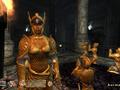 Xbox 360 - Elder Scrolls IV: Shivering Isles, The screenshot