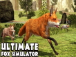 Android - Ultimate Fox Simulator screenshot