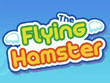 iPhone iPod - Flying Hamster, The screenshot