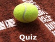 iPhone iPod - Tennis Quiz screenshot