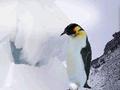 Nintendo DS - March of the Penguins screenshot