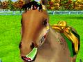 Nintendo DS - Pony Friends screenshot