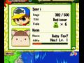 Nintendo DS - River King: Mystic Valley screenshot