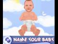 Nintendo DS - Baby Pals screenshot