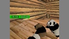 Nintendo DS - National Geographic: Panda screenshot