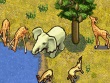 Nintendo DS - SimAnimals: Africa screenshot