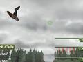 Nintendo Wii - Ultimate Duck Hunting screenshot