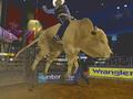 Nintendo Wii - Pro Bull Riders: Out of the Chute screenshot