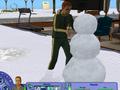 PC - Sims 2: Seasons, The screenshot