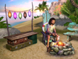 PC - Sims 4, The screenshot