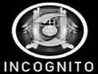 PC - Incognito screenshot