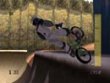 PC - Dave Mirra Freestyle BMX screenshot