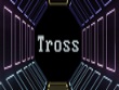 PC - Tross screenshot