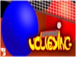 PC - Volleying screenshot