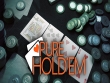 PC - Pure Holdem screenshot