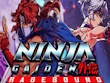 PC - NINJA GAIDEN: Ragebound screenshot
