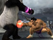 PlayStation 2 - Tekken 5 screenshot