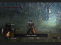 PlayStation 3 - Dark Souls screenshot
