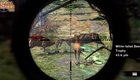 PlayStation 3 - Cabela's Big Game Hunter 2012 screenshot