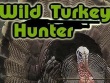 PlayStation 4 - Wild Turkey Hunter screenshot