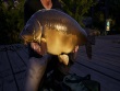 PlayStation 4 - Euro Fishing: Waldsee screenshot